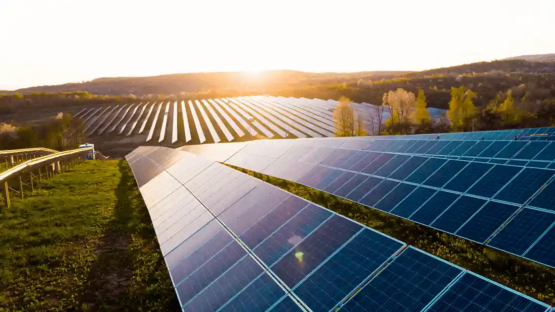 Rows of solar panels across a solar farm
